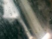 Thee Koukouvaya: Witches' Jelly