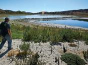 When Water Gone National Wildlife Federation