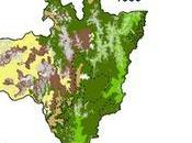 Deforestation Forest Fragmentation South Ecuador Since 1970s Losing Hotspot Biodiversity