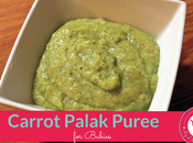 Carrot Palak Puree Babies