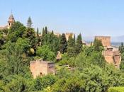 Really Need “Hypoallergenic Parks”?