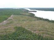 Native Tribe Fights Save Boreal Forest Quebec