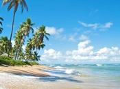 Best Beaches Brazil November