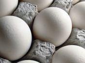 Figure?: Food Thought