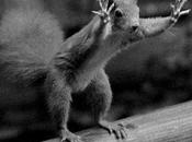 Friday Fast Five Things Want Check Right