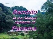 Visit Bambito Chiriqui Panama