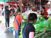 DAILY PHOTO: Greens Reds Khlong Toei Market