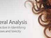 Hair Mineral Diagnostic Test Overview