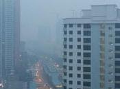 Survivor Ways Protect From This Haze Induced Forest Burning