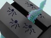 Review: Jellyfish Blues William Burnette