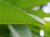 Ways Farmers Environmentally Friendly