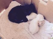 Home Again, Again Jiggidy Jig!