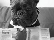 Interview with Perth Champagne Club