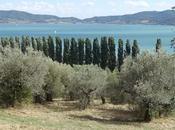 September UMBRIA, ITALY, Part Lake Trasimeno Isola Polvese