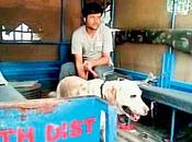 Disobedience Saves ~Somnath Bharti Gets Reprieve