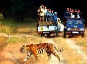 Oldest National Park India Corbett