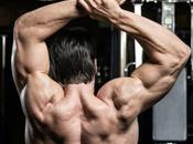 Shoulder Exercises