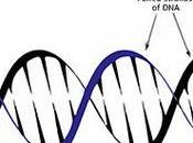 Ways Longer (and Healthy) Life