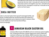 Best Oils Butters Fall/Winter Hair Care (Infographic)