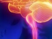 Google Will Rankbrain Respond Queries That Hasn't Ever Been Searched Before.