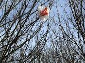 Plastic Trees