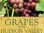 Know Grapes Hudson Valley with Steve Casscles