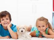 Teaching Children About Interacting With Puppies