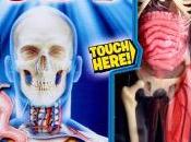 Smart Squishy Human Body (wicked Uncle Gifts)
