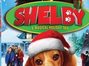 Shelby: Magical Holiday Tail Releases November