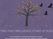 Should Startup Factors That Influence Success