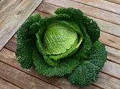 Harvest Monday November 2015