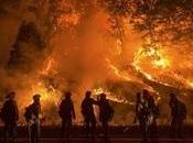 Fuel Reductions Thinning Poor Forest Strategy