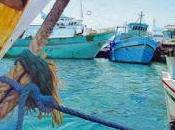 Fishing Visions Wonderful Light