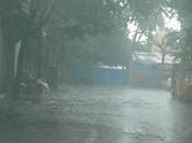 Depression Bengal Rain Photo ,EXIF Geo-tagging