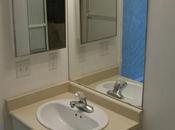 Bathroom Improvement Ideas Apartment Dwellers