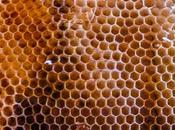 Engineering 101: Honeycomb