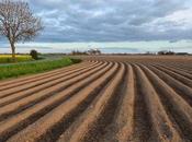 Europe Afford Monitor Farmland?