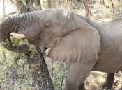 Shit Happens Makes World Better Place