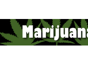 Don’t Drugs, Weed, Just Want Hugs, That’s Need