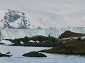 Climate: Study Tracks Loss Biodiversity Near Melting Antarctic Glaciers