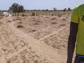 Desertification: People Whose Land Turning Dust #Auspol #EarthToParis #COP21