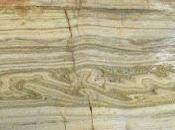 Still Need Microfoundations?