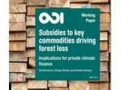 Subsidies Deforestation-driving Commodities Dwarf Conservation Finance Report Ecosystem Marketplace