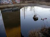 Friday Fotos: Upon Reflection