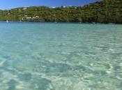 Sweet Stay Thomas, #USVI