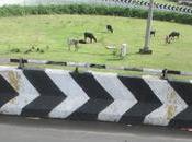 Respite Battered Chennai [some Media Puts Otherwise]