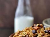 Toasted Millet Oats Granola