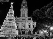 Christmas Tree Porto City Hall