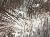 Effective Home Remedies Treat Hair Fungus