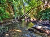 Stream Bath: Like Bathing River